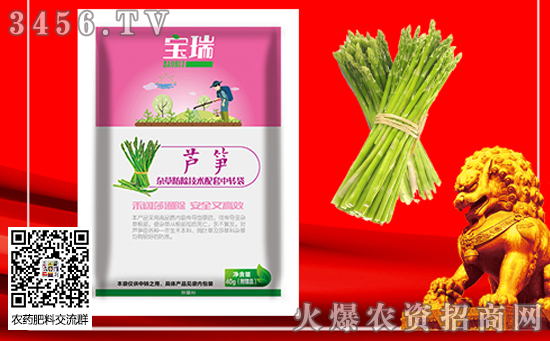 2020年種植蘆筍有前景嗎?價(jià)格多少錢一斤?種植效益如何? 2020年種植蘆筍有前景嗎?價(jià)格多少錢一斤?種植效益如何?