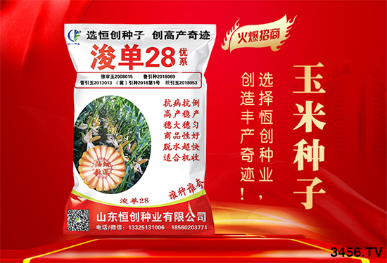 ����ُ�N�����R�����N����ʲô]��������һ�ӵ��x�N���ɣ�