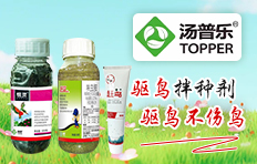 ɽ�|���՘�����ƌW(xu��)���޹�˾ 