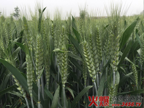 ���ϳ����N�I���޹�˾