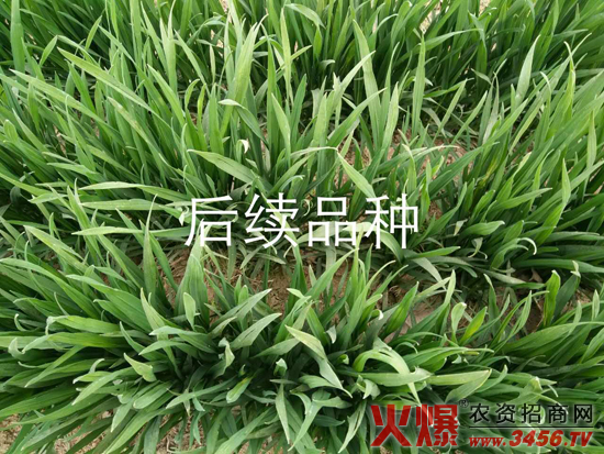 ���ϳ����N�I���޹�˾