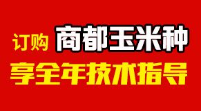 �����̶��N�I���޹�˾