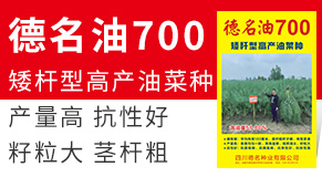 �Ĵ������N�I���޹�˾