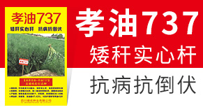 �Ĵ������N�I���޹�˾