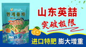 ɽ�|Ӣ���M(j��n)�������޹�˾