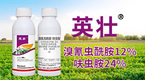 ɽ�|��������Ƽ����޹�˾