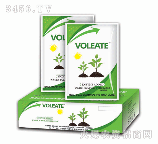 �����أ�����