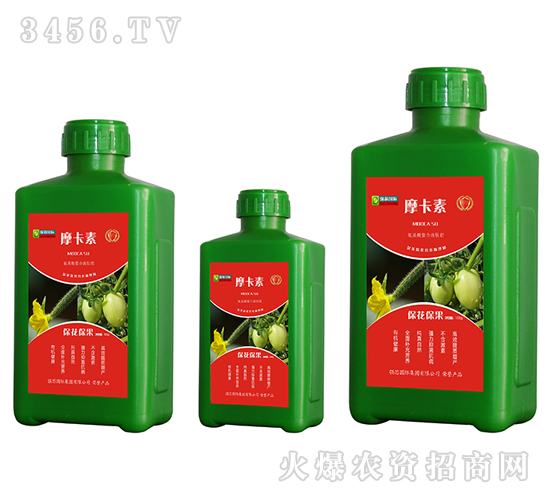 ������������������Һ�ķ�-Ħ����-��о