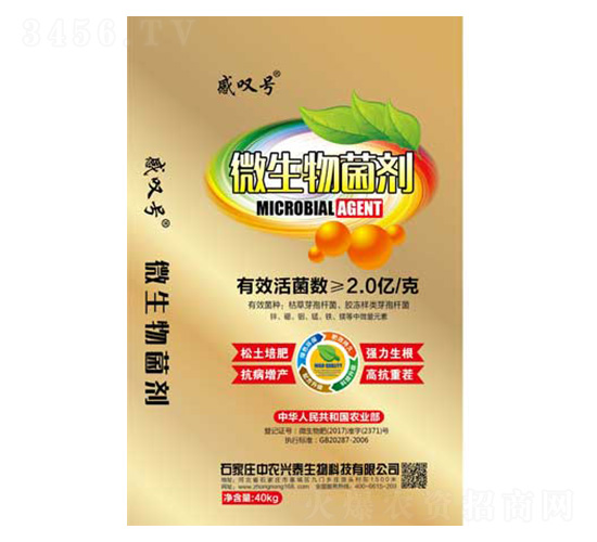 ΢�������-���r�d̩