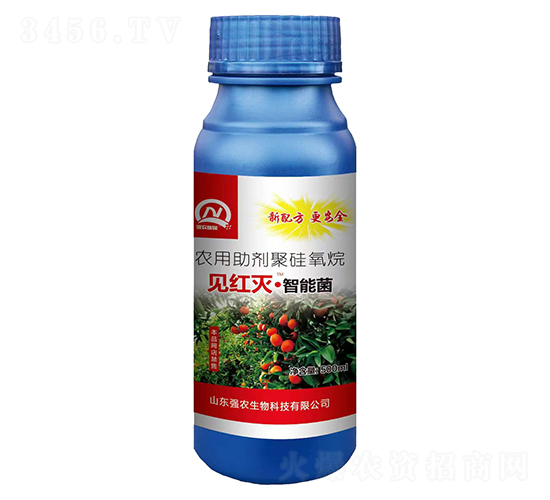 ��Ч���μt֩�����ܾ���-Ҋ�t�硤���ܾ�-���r(n��ng)����