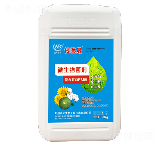 ΢�������-���t��-�İ�����