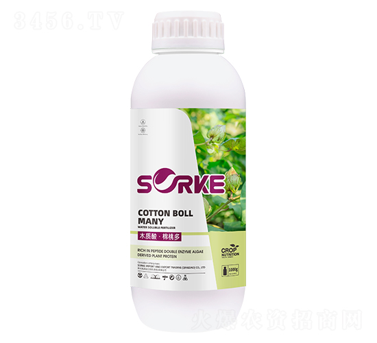 ľ�|�ᡤ���Ҷ�-ʩ�ֿ�