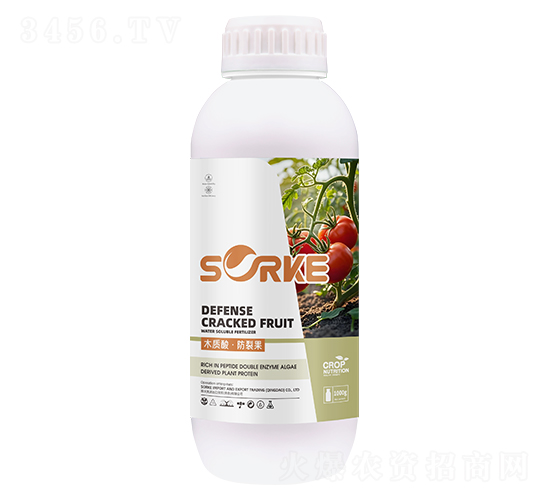 ľ�|�ᡤ���ѹ�-ʩ�ֿ�