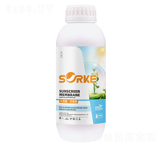 ľ�|�ᡤ����Ĥ-ʩ�ֿ�