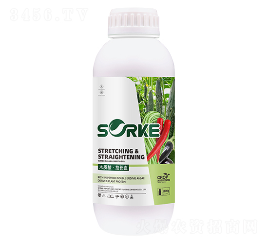 ľ�|�ᡤ���Lֱ-ʩ�ֿ�