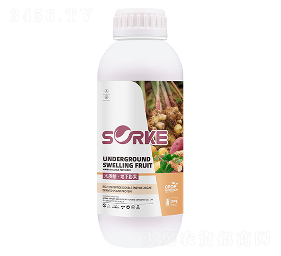 ľ�|�ᡤ�������-ʩ�ֿ�