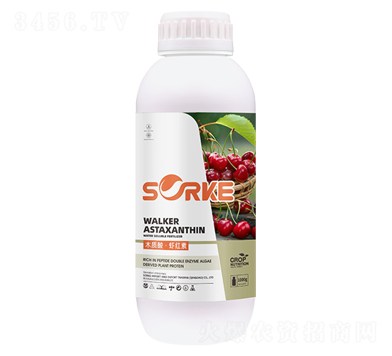 ľ�|�ᡤ�r�t��-ʩ�ֿ�