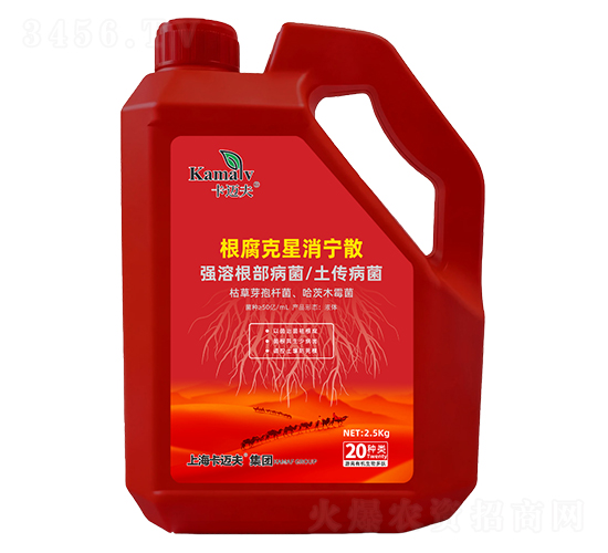 ������������ɢ-���~��