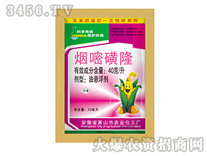 40��/�����׻�¡-�{���r�I