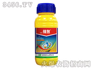 ���������݄�-�G���hɷ-�G�� 