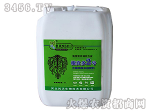 ֲ���{���������2̖-�Z��