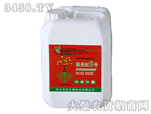 ֲ���{����������2̖-�Z��