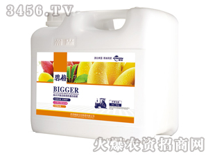 â�����ø߷��ӏͺ����ЙC����Һ�ʣ����b��-�̸�-�ɭ