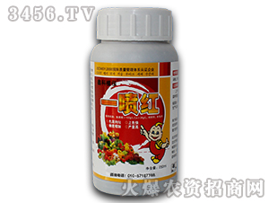 ֲ�����L�{����-һ���t-�ο�ֲ�� 