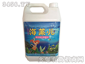 �ͺ�΢�������-���R��-һ�Ļ���