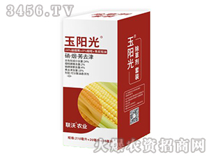 ���׳��݄��ײ�-��ꖹ�-���r�I 