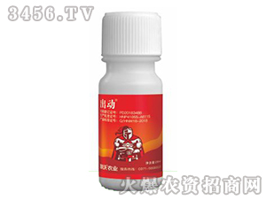 12%�׾S���x����-����-���r�I