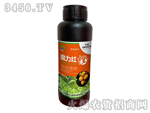 ħ���t��-���r����