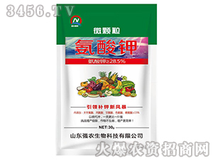 ΢�w�������-���r