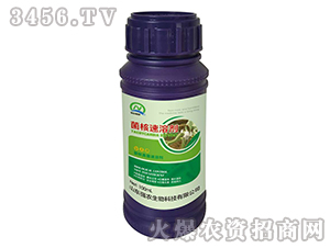 100ml�������܄�-���r����