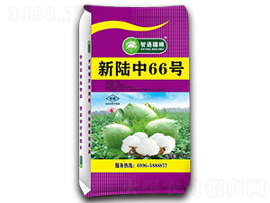 �����66̖-�޻��N��-������