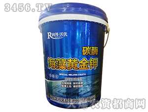 ̼ø�����S���-�A���s�� 