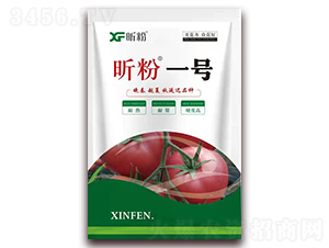 꿷�һ̖-�����s���N-���r����