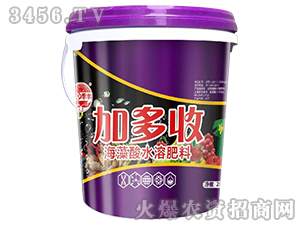 �Ӷ��պ�����ˮ�ܷ���-��@���S-���S�ʘI 