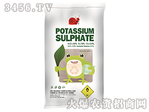 �����-˹����-�|�r 