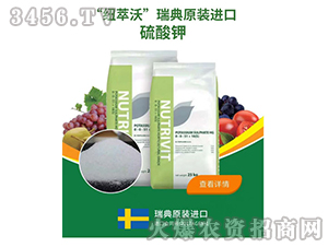 ���ԭ�b�M�������-�~����-ɽ���r�Y 