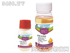 �ա���x��-�P���