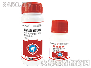 ���S����-�P���