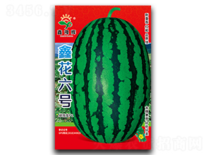 鑫花六號-西瓜種子-豫輝種業(yè)