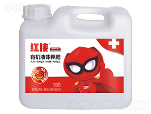 5L�ЙCҺ�w⛷�-�t�b-���� 