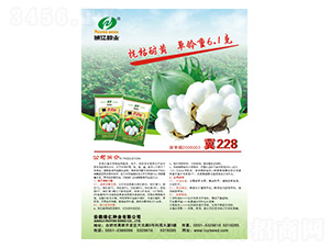 ��228-�G�|�N�I(y��)