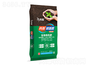 �����ЙC(j��)��-�ƈ�(b��o)-���r(n��ng)�d̩