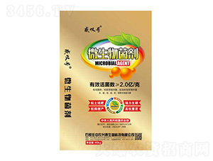 ΢�������-���r�d̩