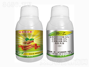 51%�䡤��-���f���o(w��)��-���r(n��ng)��