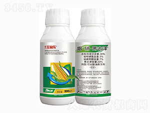 30%��������ݬȥ��-��ʩ��-���r��