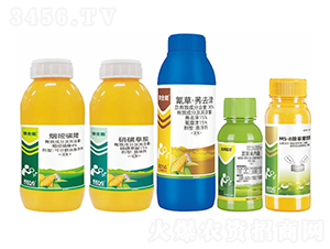 ��������݄��M�ϣ����һ��-�����S